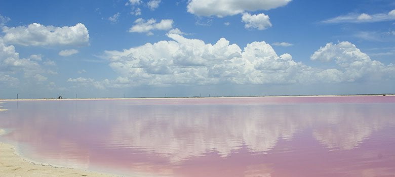 las coloradas